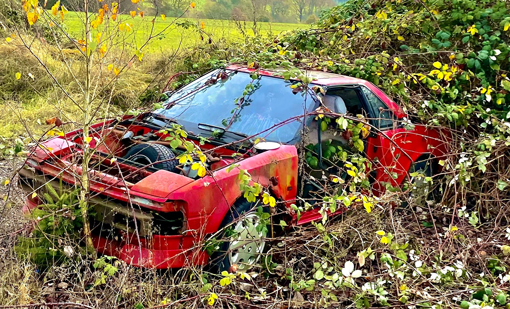 Die Natur holt sich alles zurück.