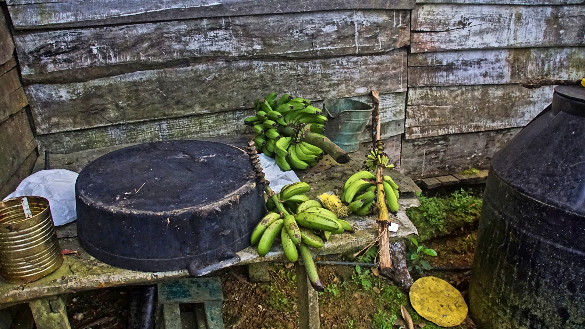 Kochen - Küche eines Gourmetkochs in der Sierra Maestra