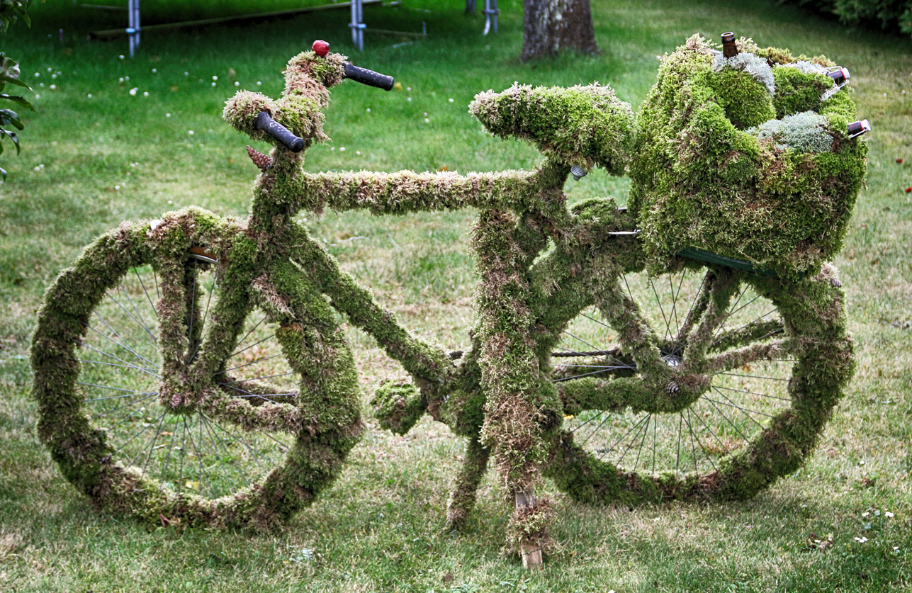 #Fahrrad im Grünen