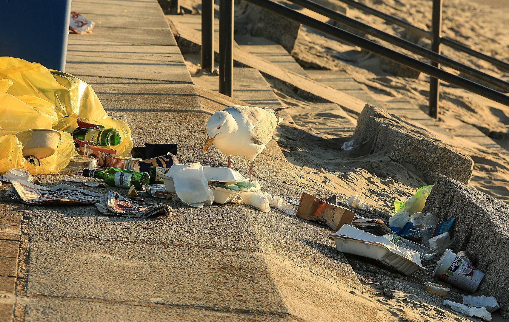 . . . ohne Kommentar . . . ,