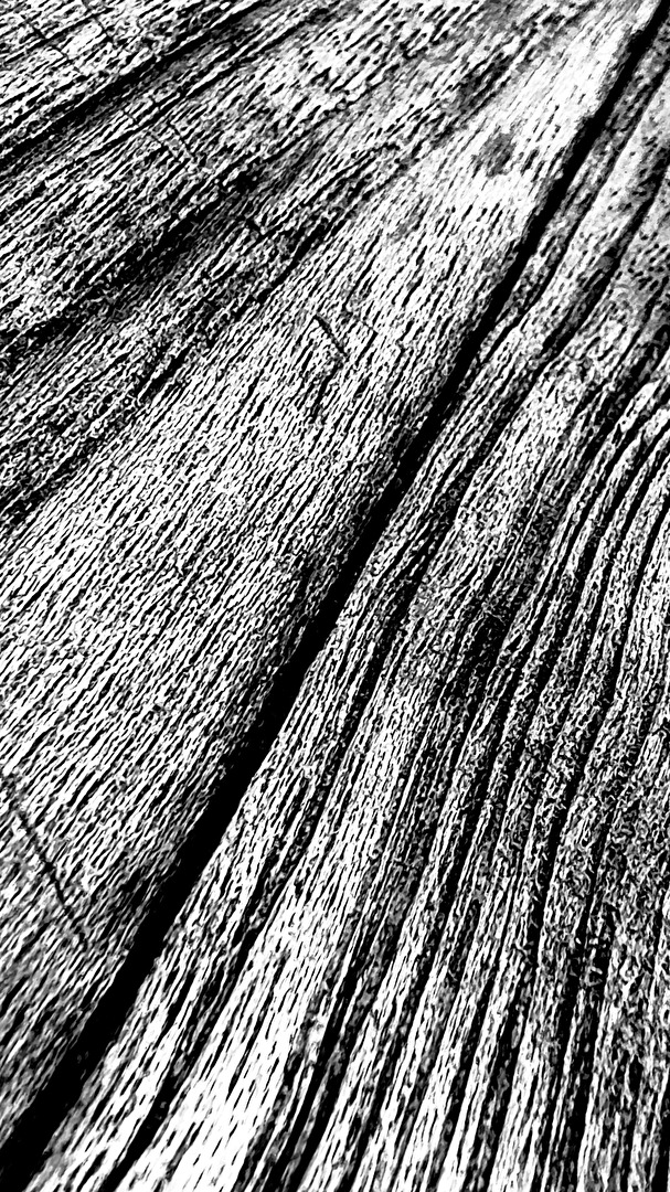 Holz