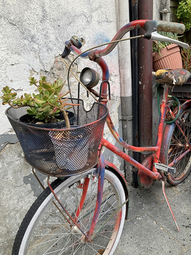 #Blumentopf - hier mal mobil