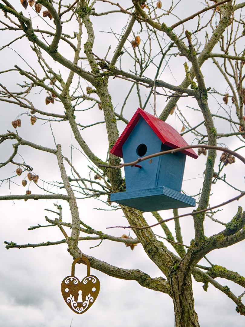 #Blau (es) Häuschen wartet auf Einzug