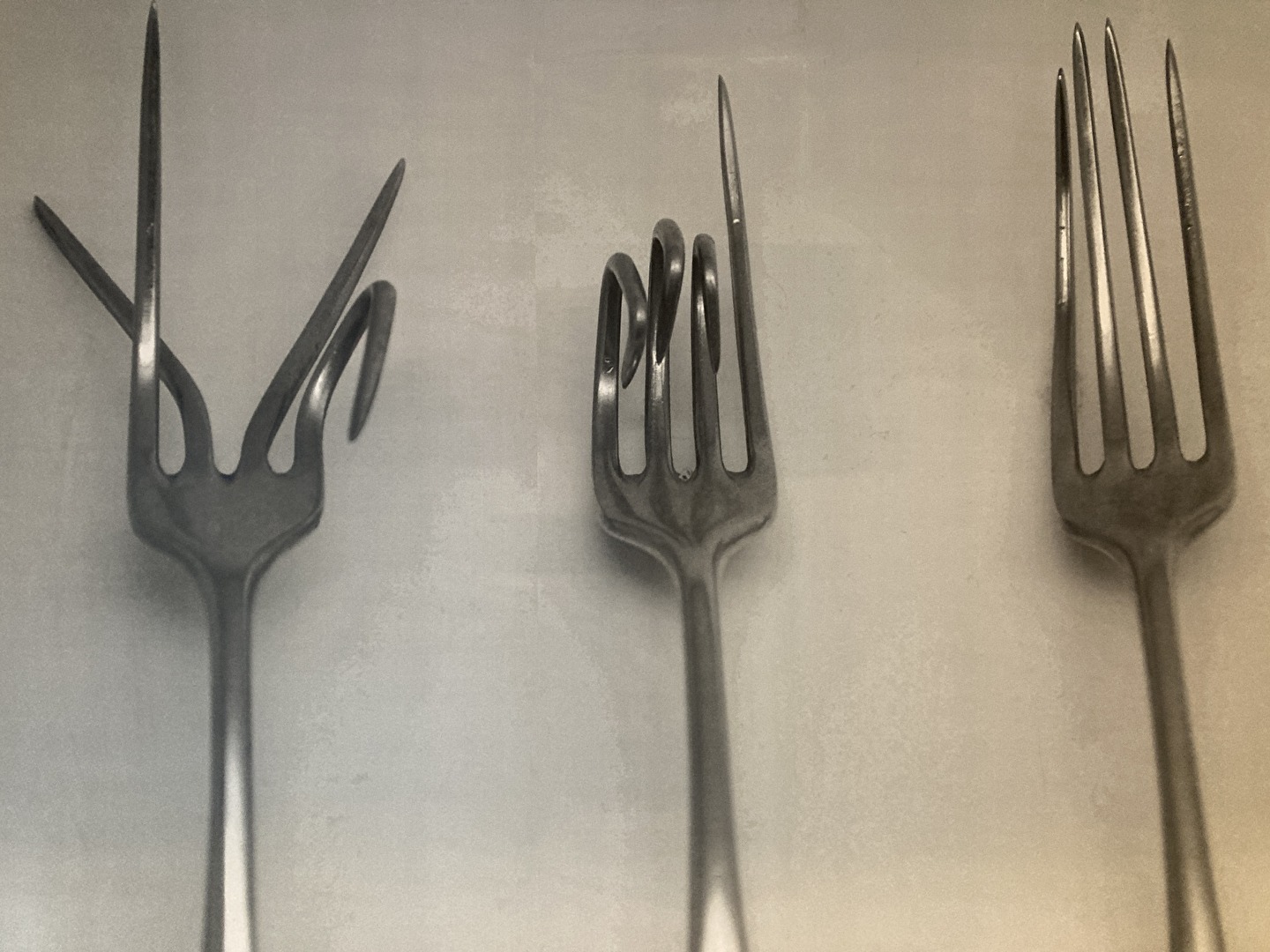 Gabelzinken gesehen als Wandbild