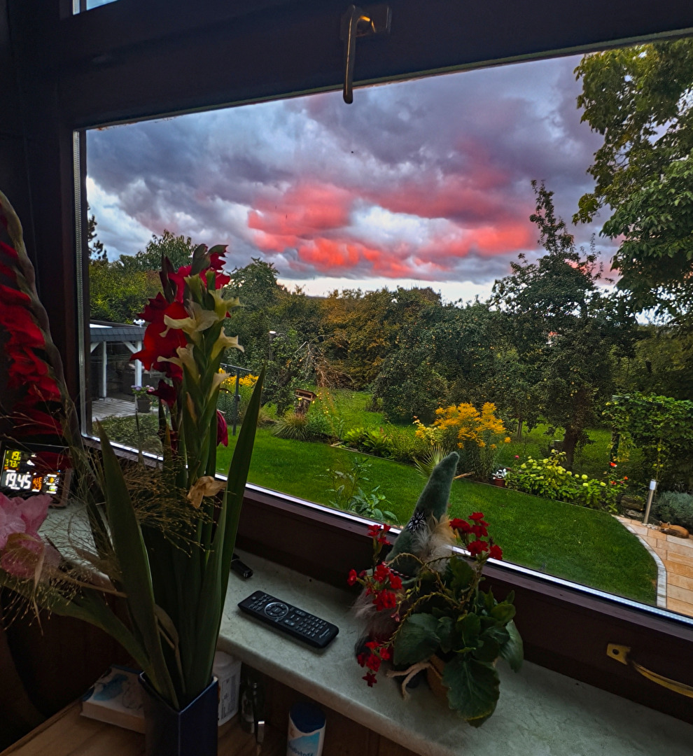 Der Blick aus dem Fenster