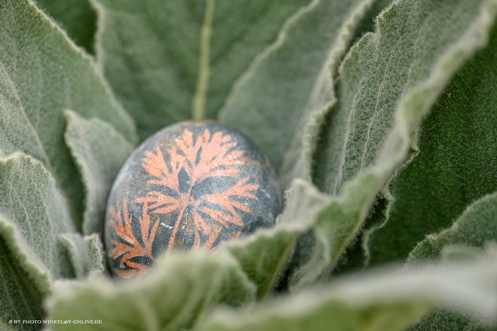 Ostern 2025 (2)
