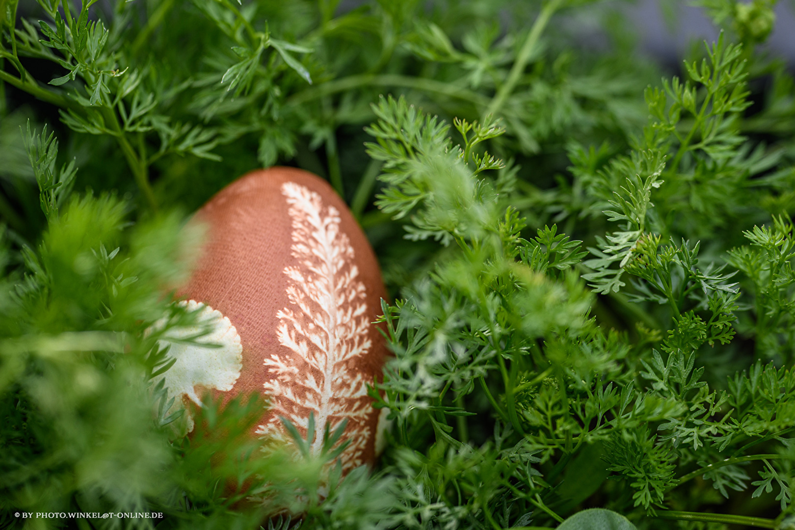 Ostern 2025 (4)