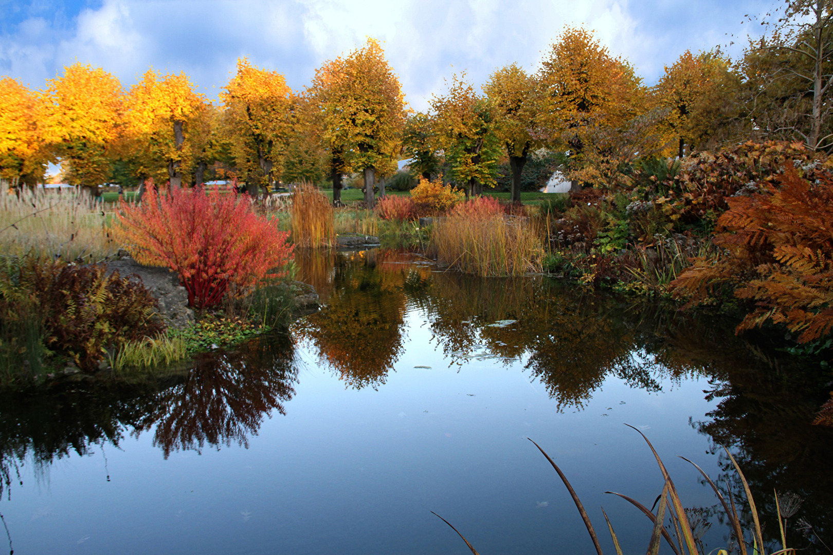 Hannover/Herrenhausen - Berggarten im Herbst