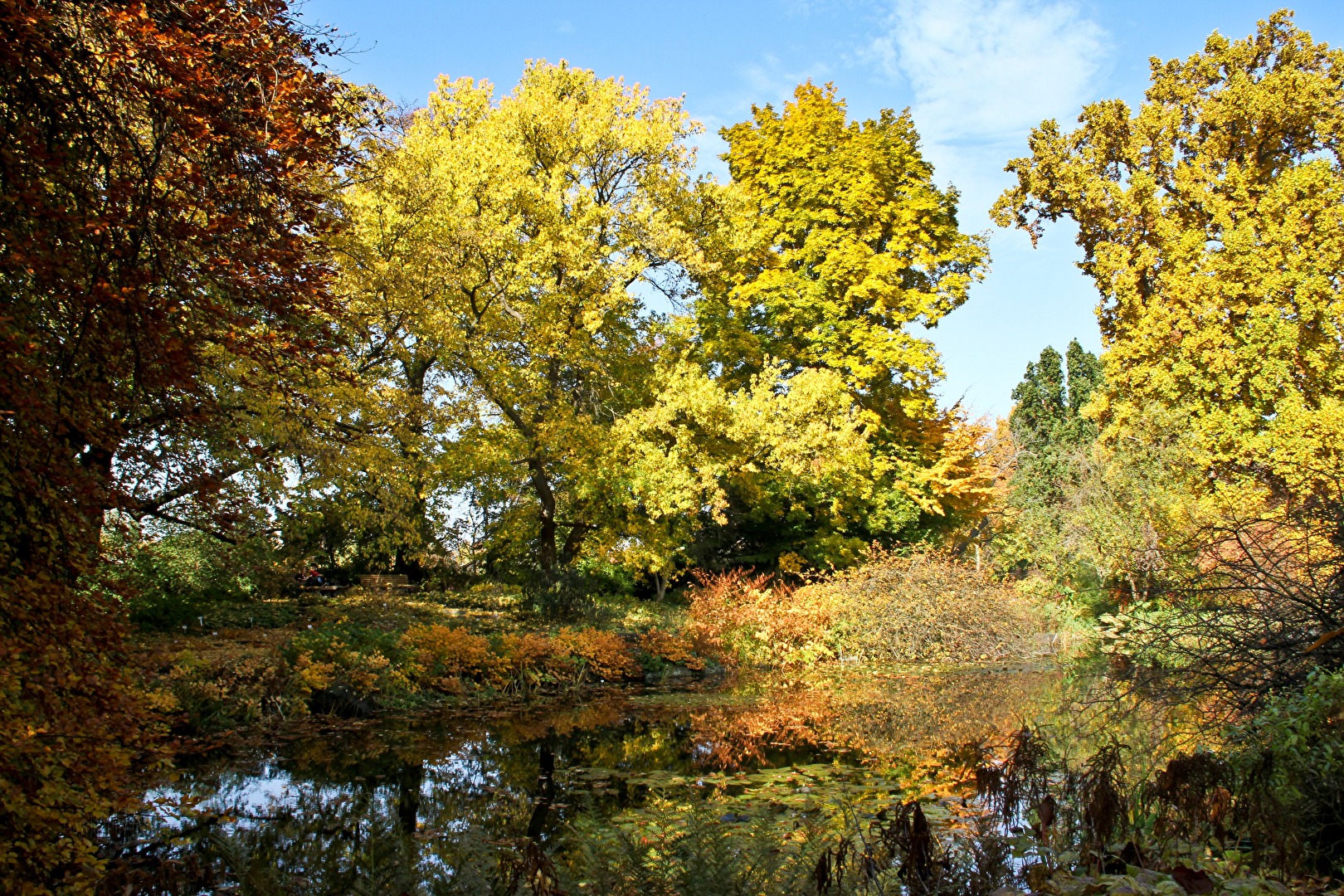 Hannover/Herrenhausen - Berggarten im Herbst