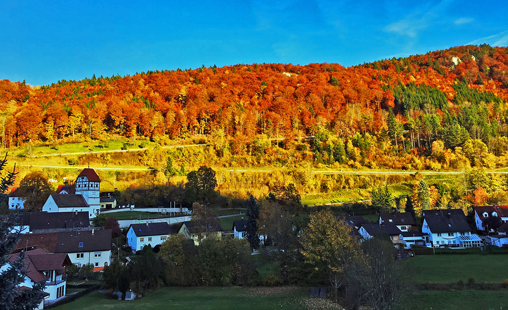Fotowettbewerb 10/25 Herbstfarben