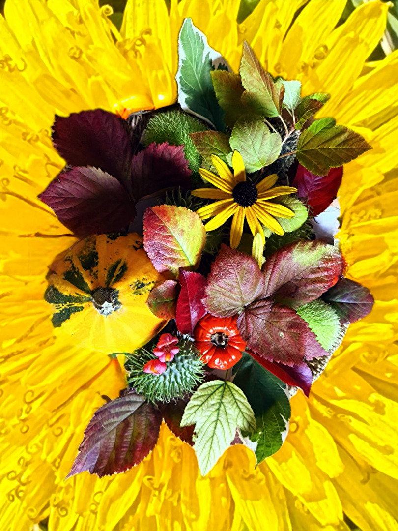 es wird Bunt, es wird Herbstlich