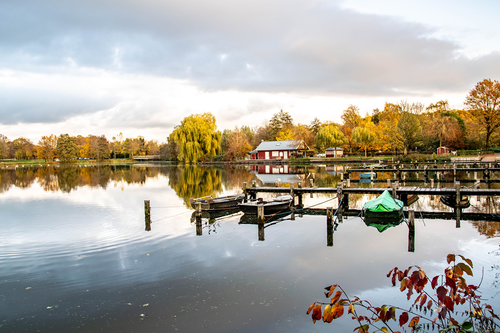 Fotowettbewerb 10/25