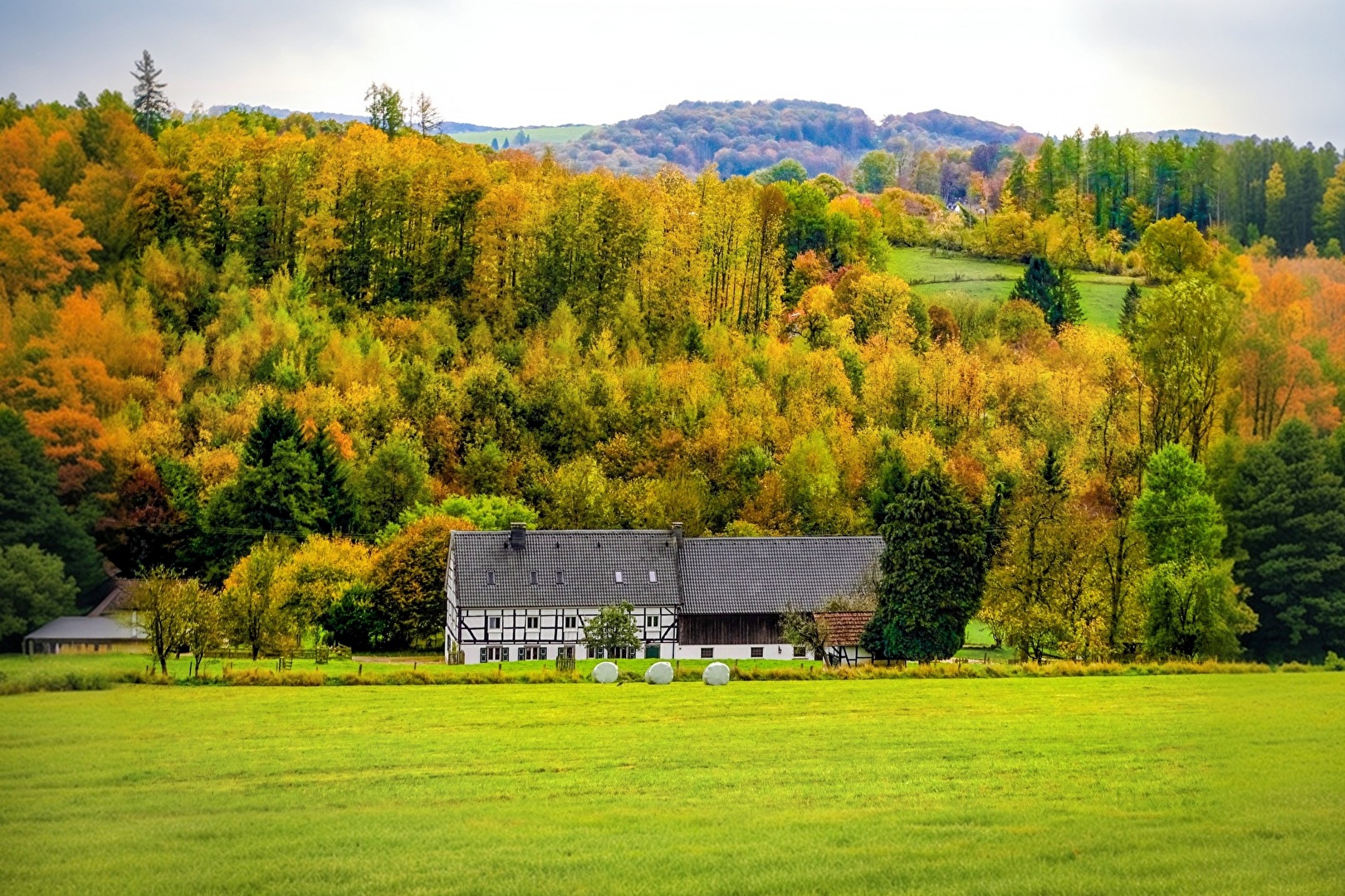 Bunt trifft auf Schwarz-Weiß