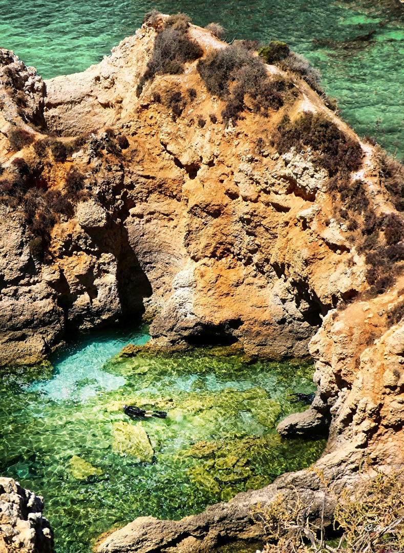 Fotowettbewerb 11/25