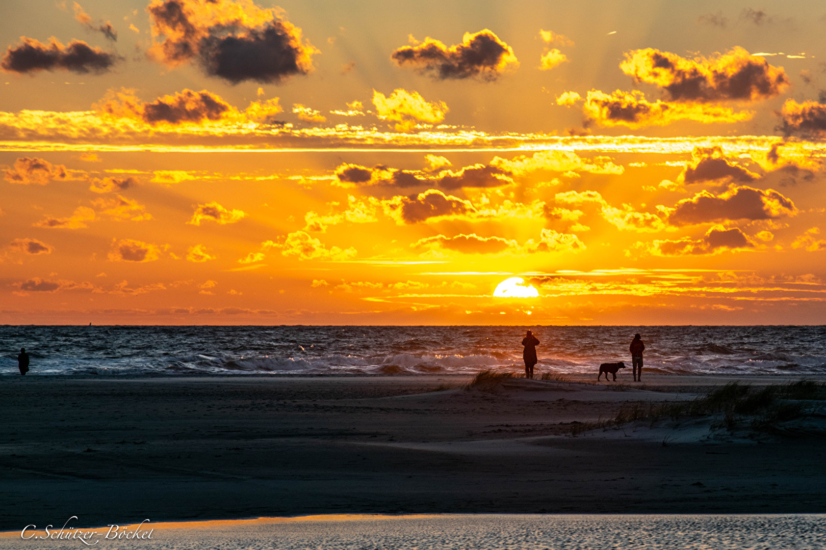 Fotowettbewerb 11/25