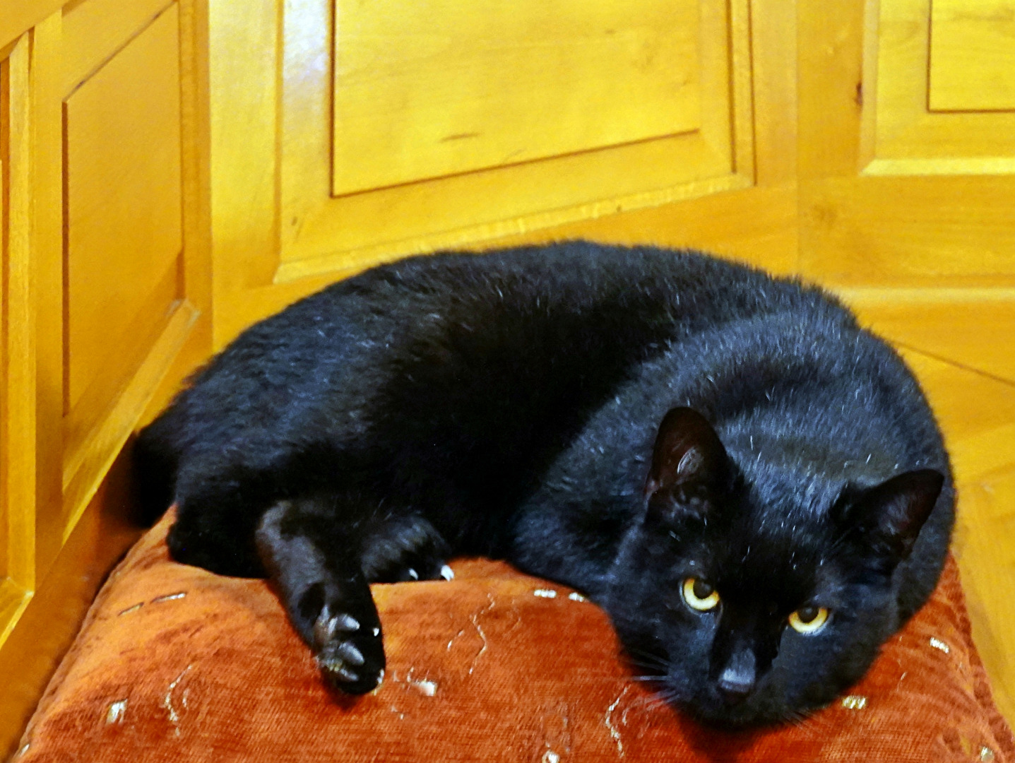 Fotowettbewerb 12/25