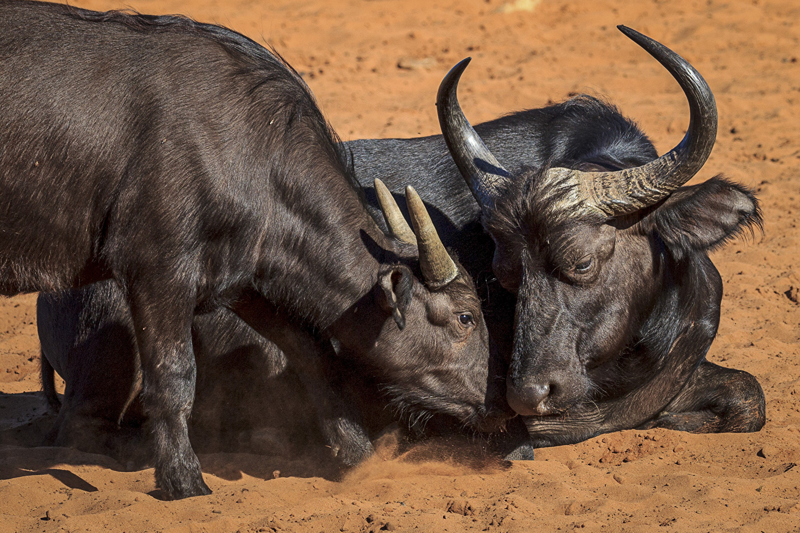 Fotowettbewerb 12/25