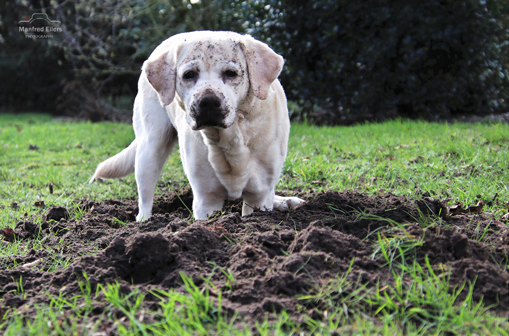 Fotowettbewerb 12/25