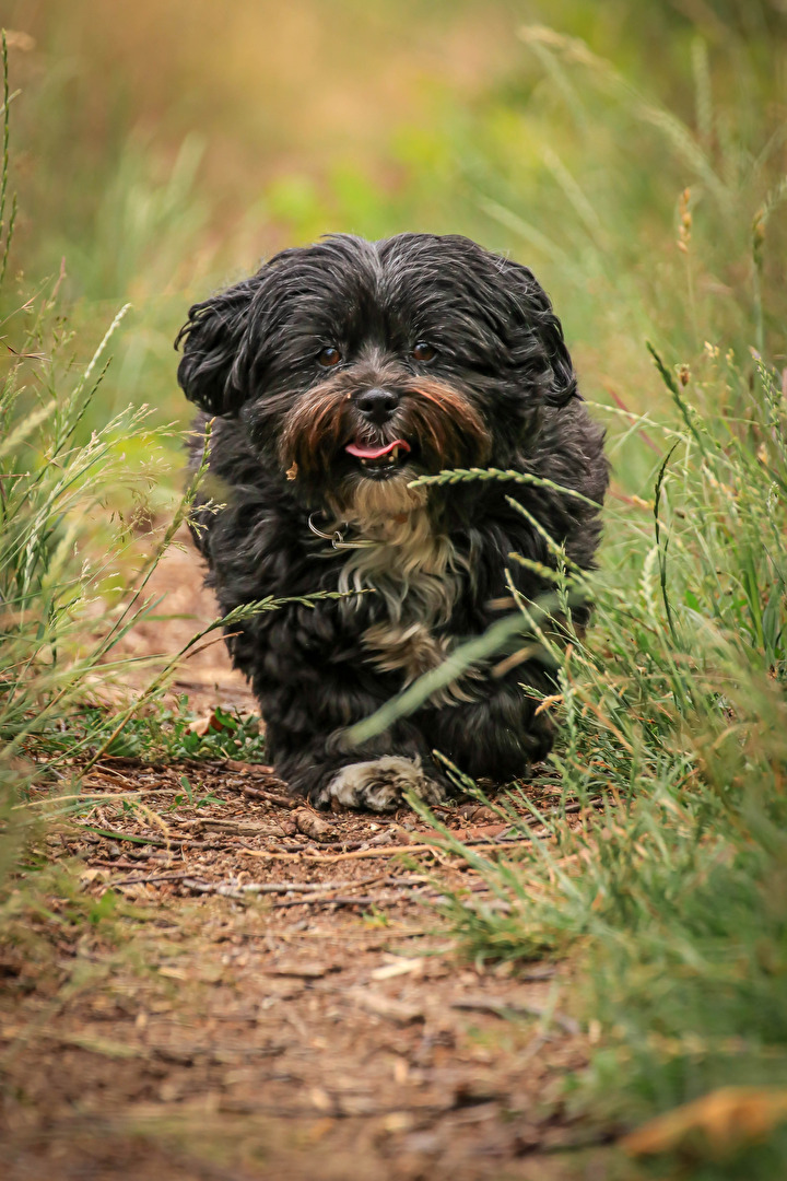 Fotowettbewerb 12/25