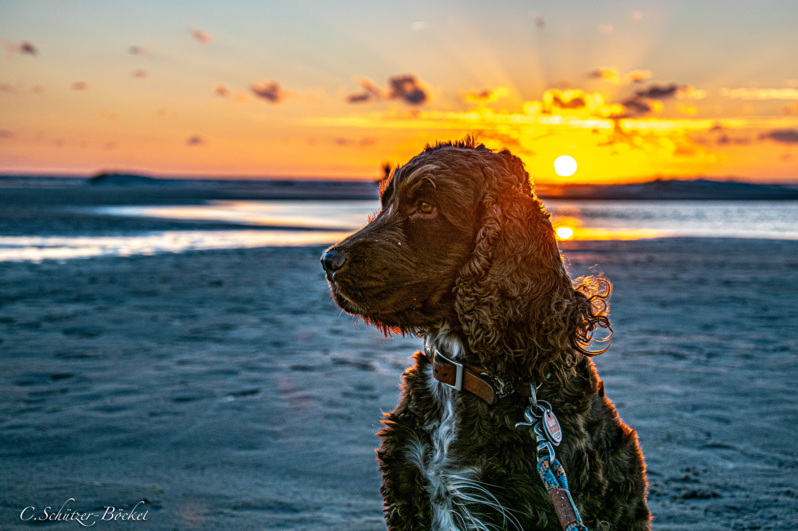 Fotowettbewerb 12/25