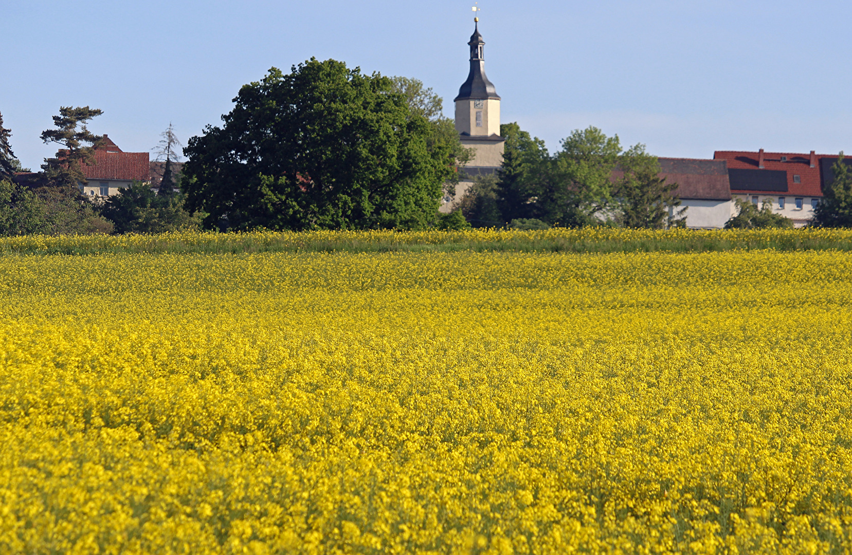 Sonntagsausflug (1)