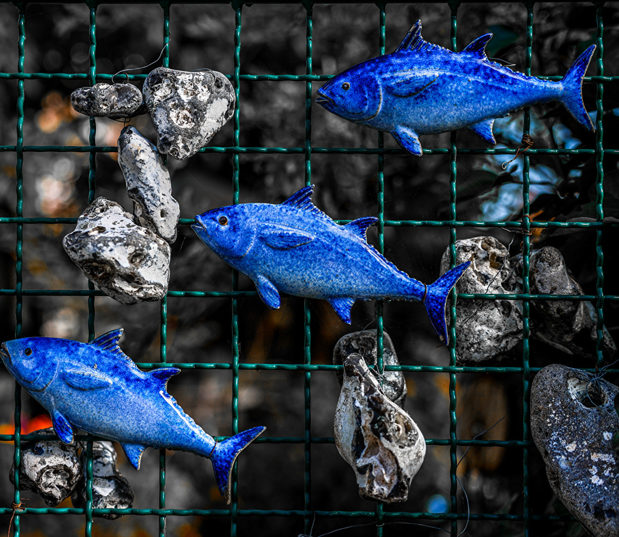 Fische