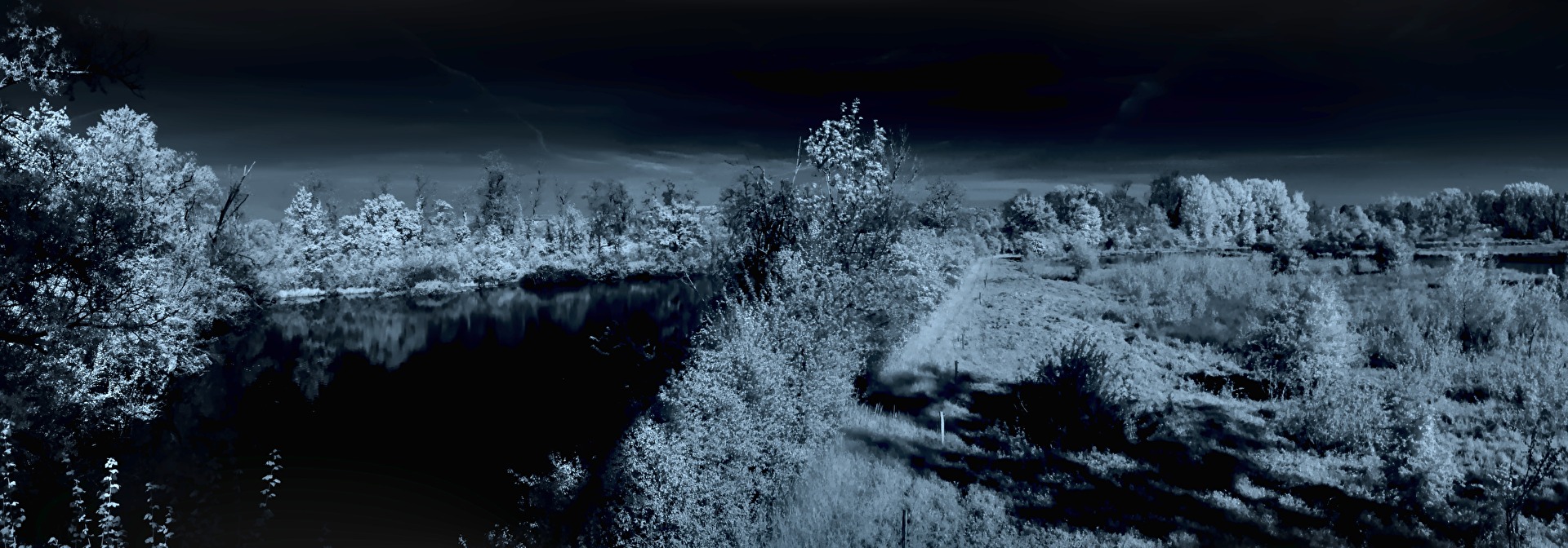 Infrared - Petite Camargue Alsacienne