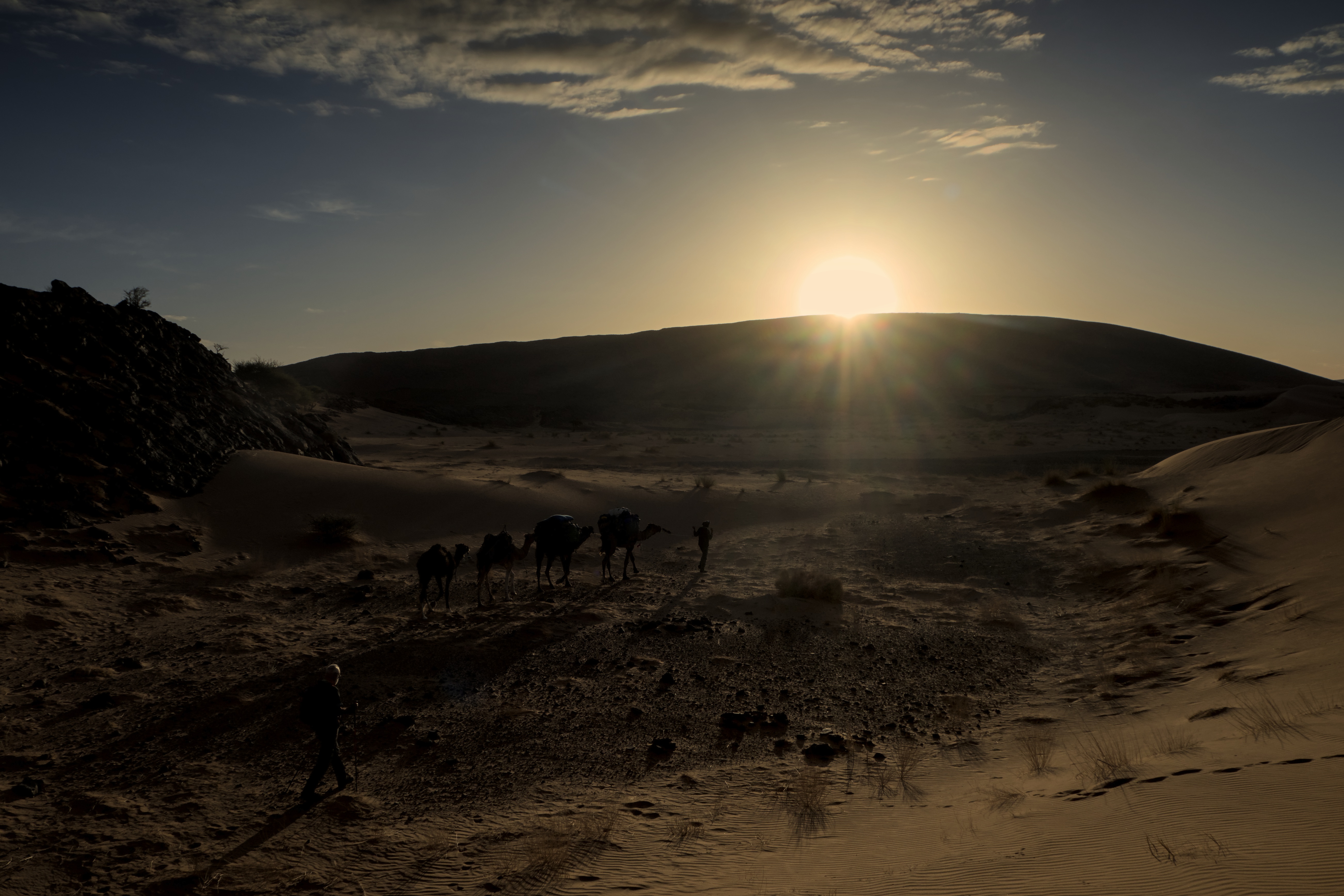die Karawane zieht weiter