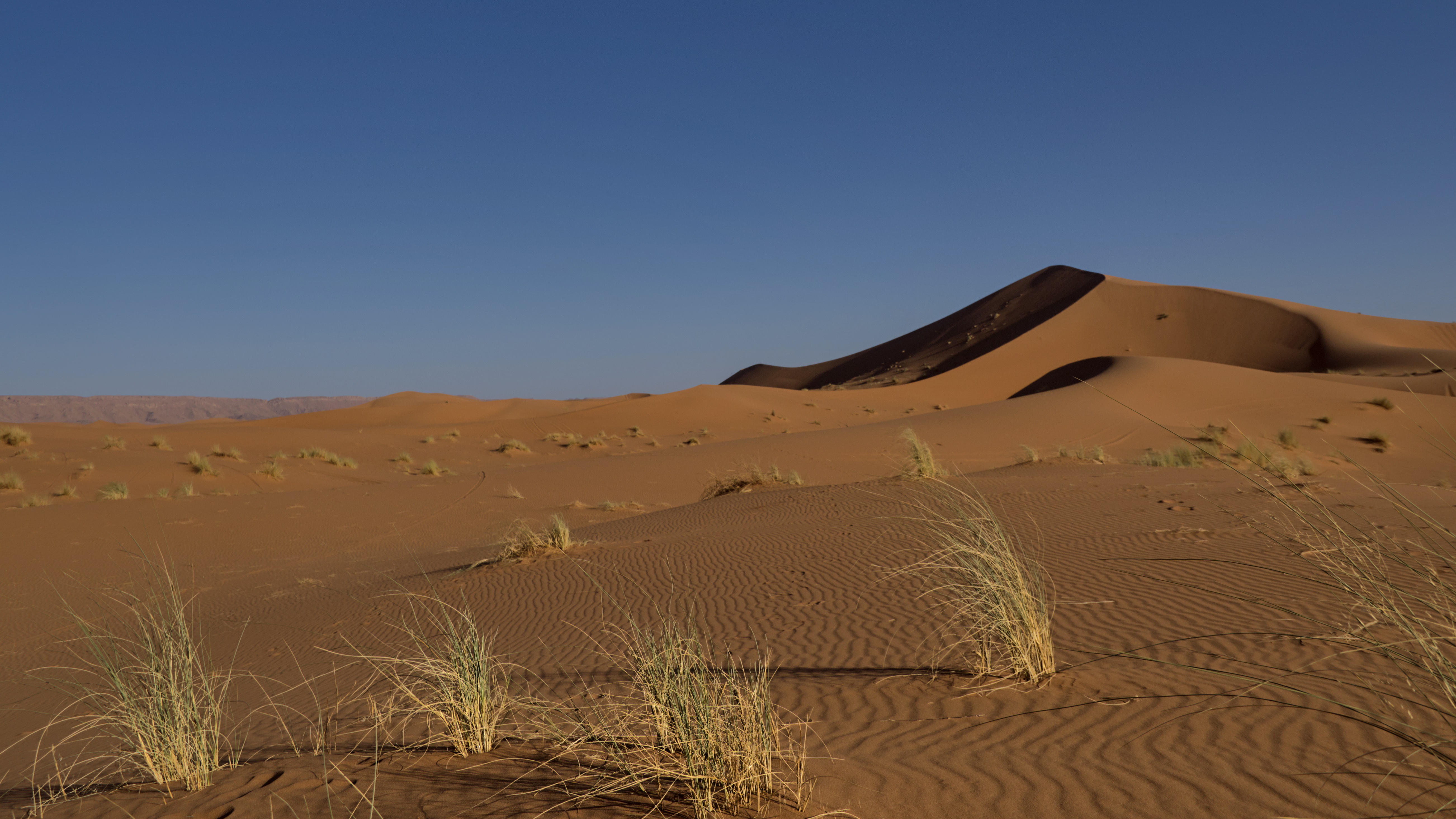Kindheitstraum - der etwas größere Sandkasten
