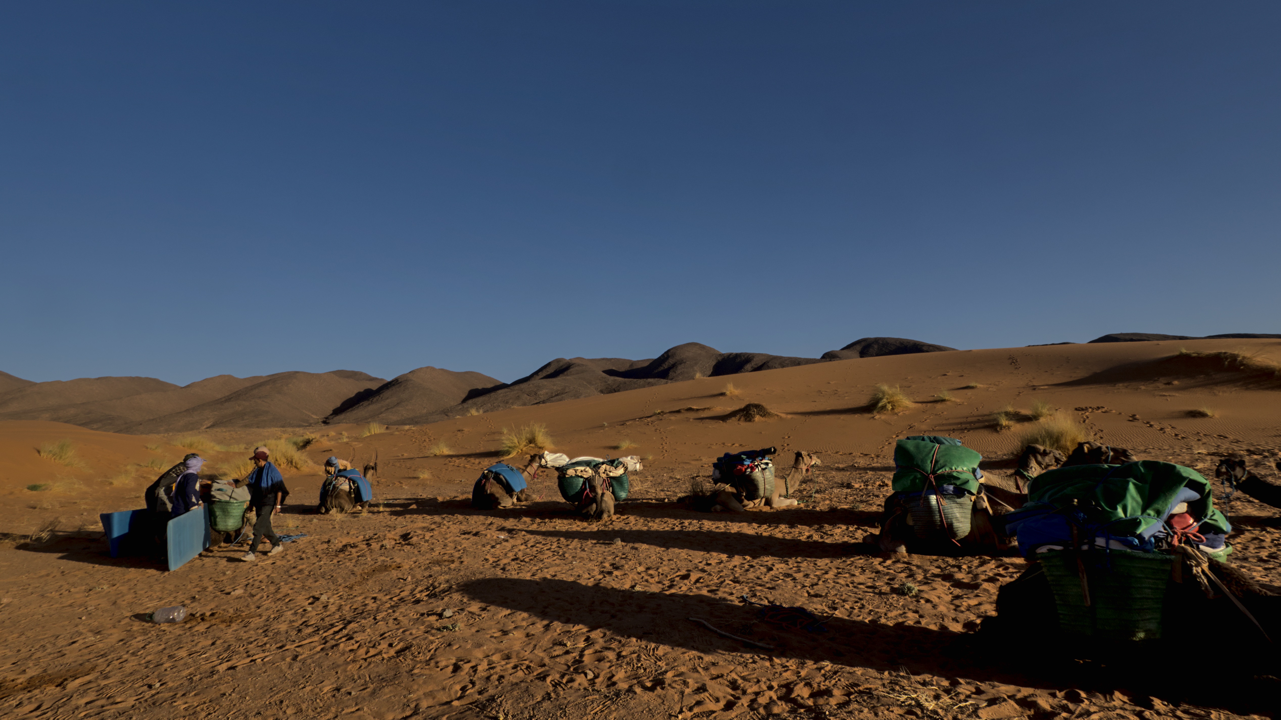 LKW mit Biomasse-Antrieb
