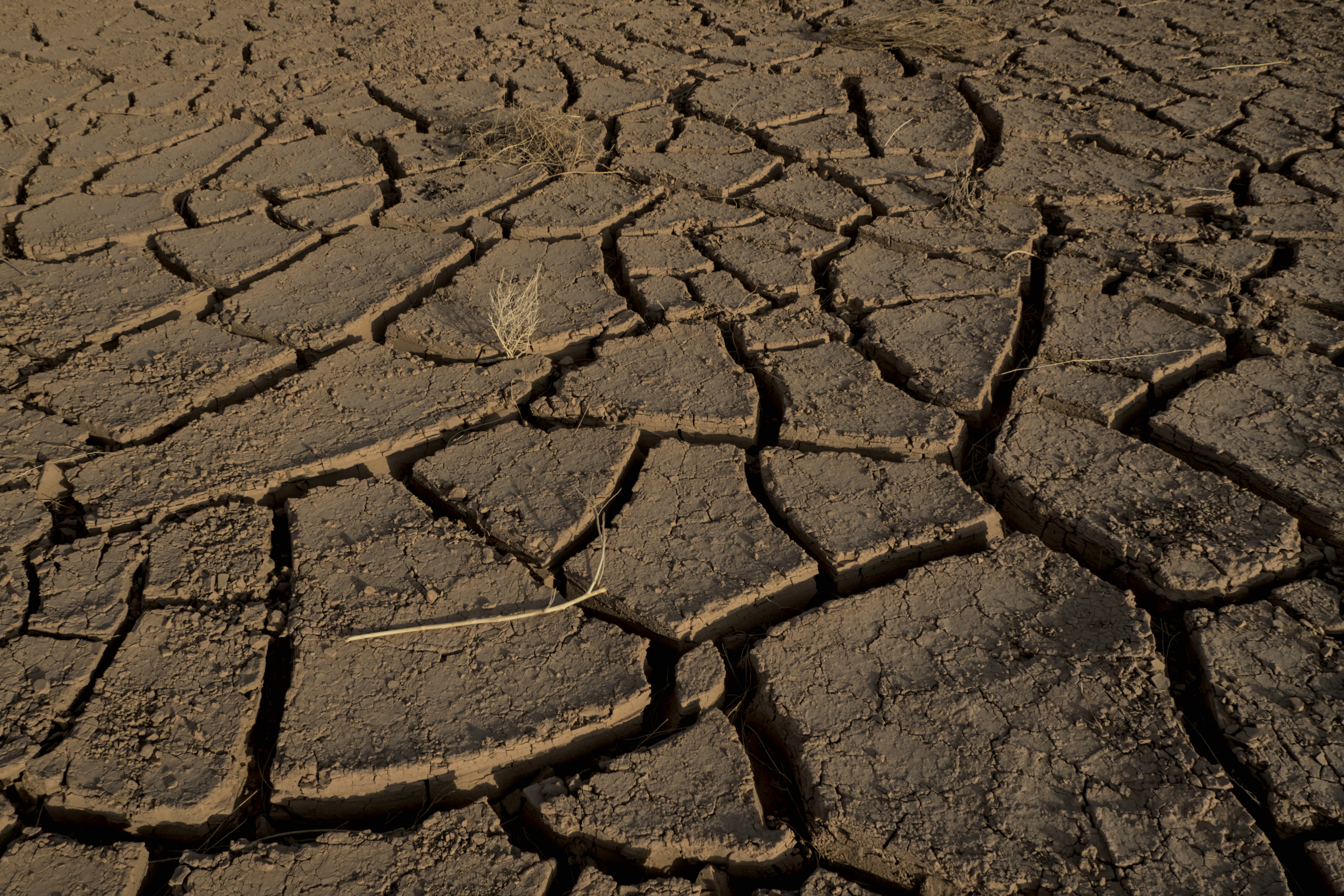 extra dry