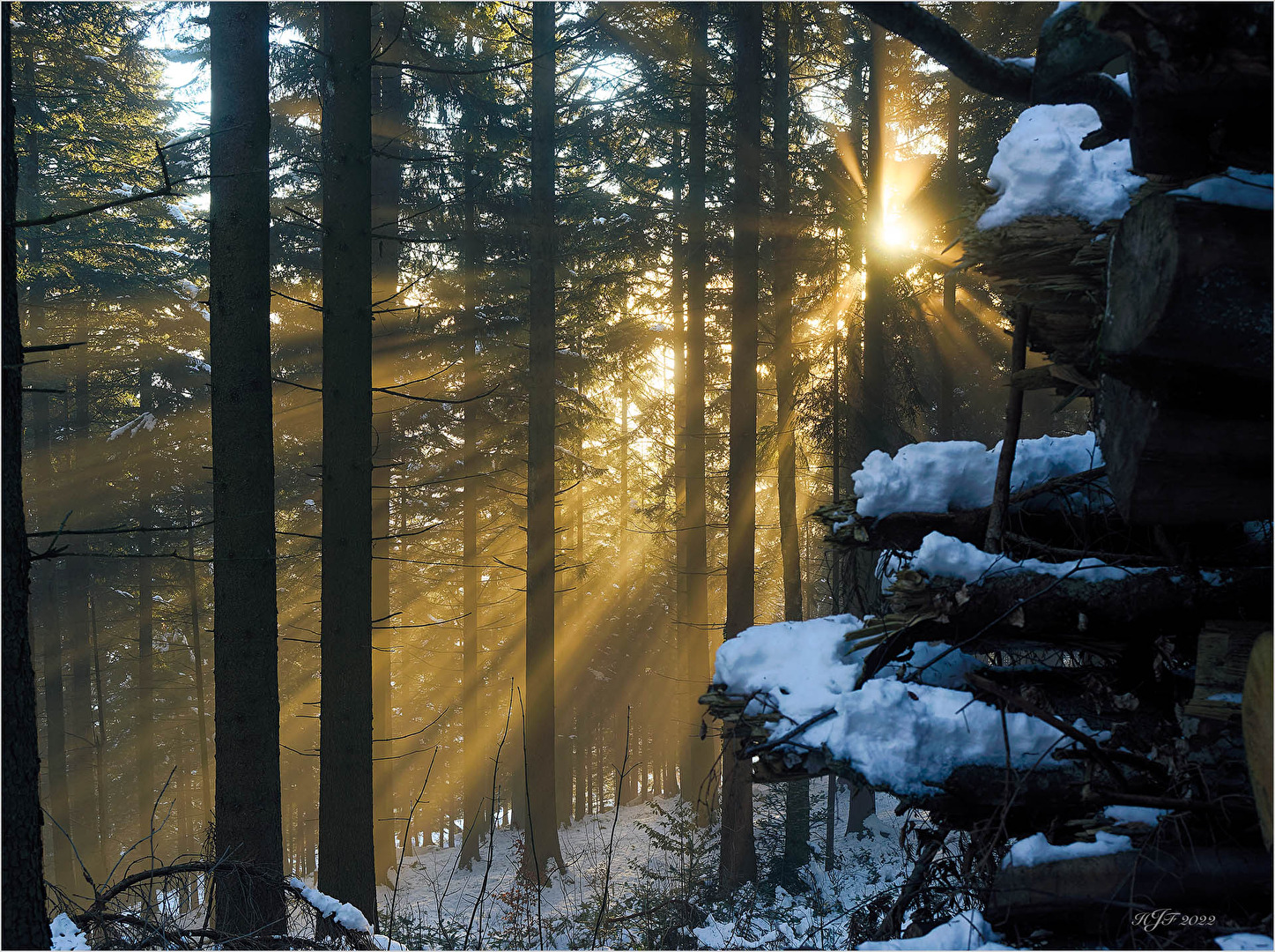 #Wintersonne - Sonnenaufgang bei Bärenwil