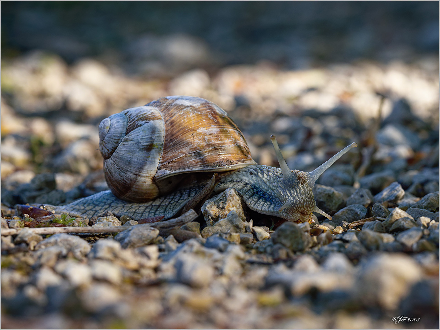 Probiers mal mit Gemütlichkeit