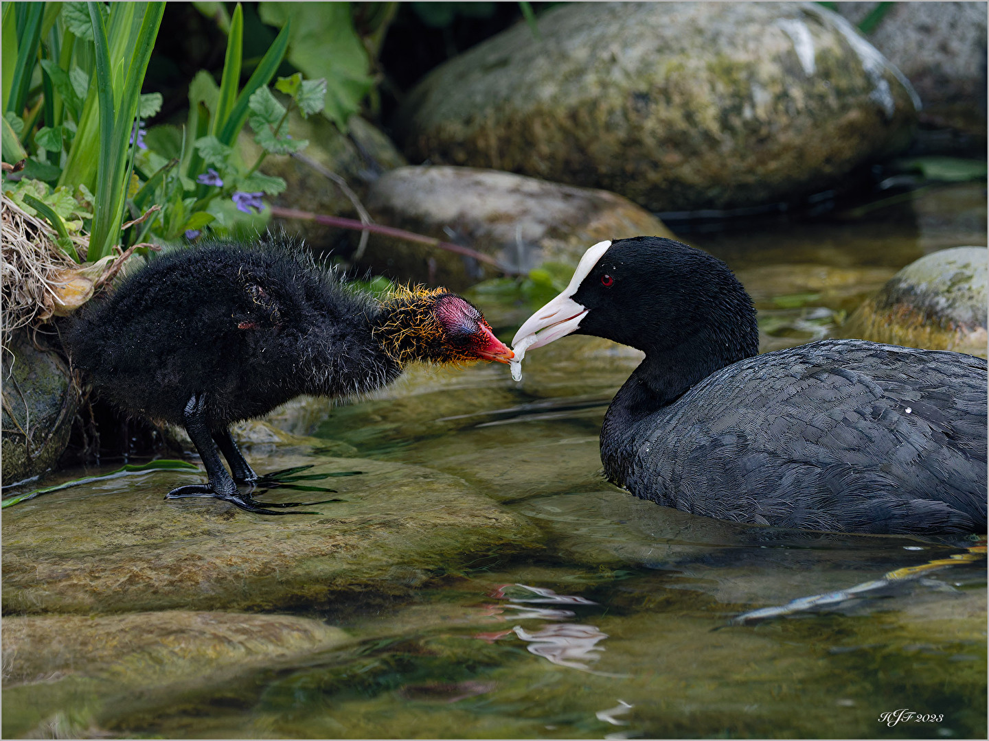 Eigentlich wollte ich einen Burger.