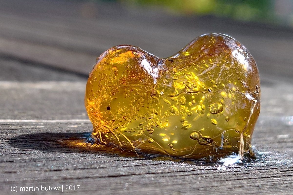 Baumharz - oder "-herz"?