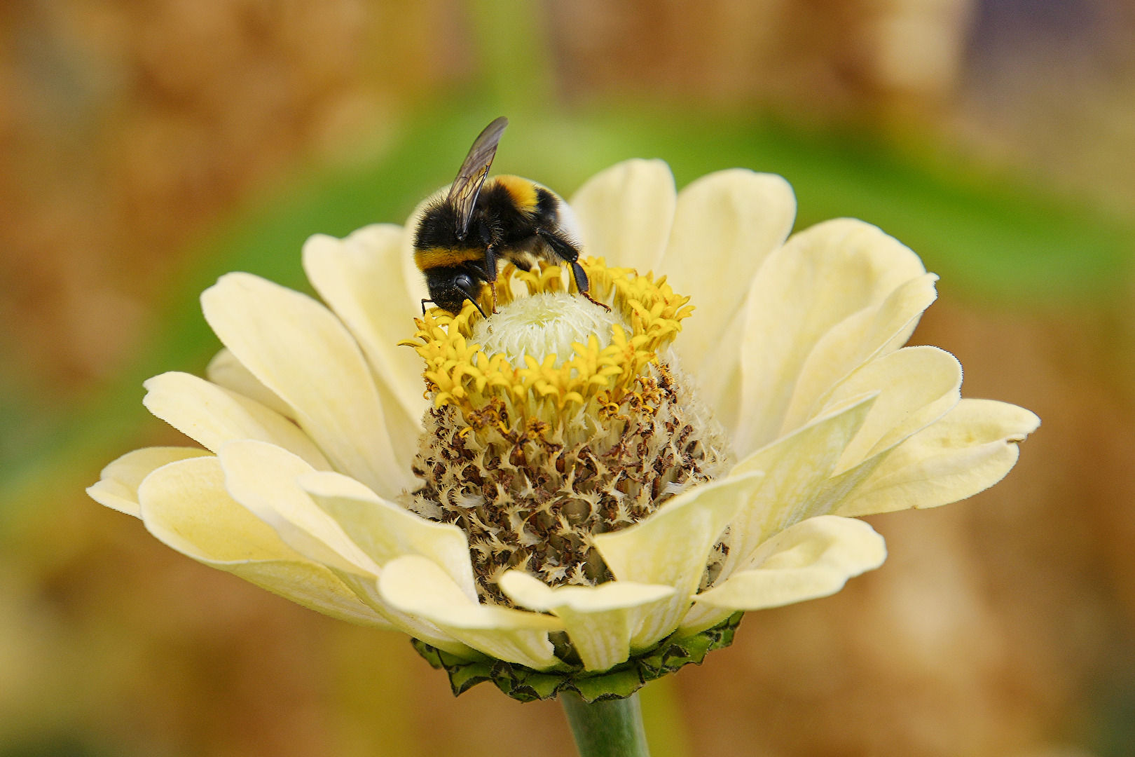 Vertieft in die Arbeit ...