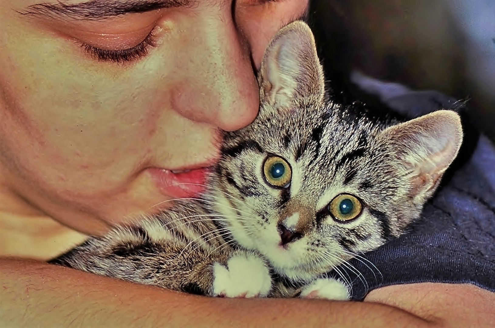" Tierliebe "