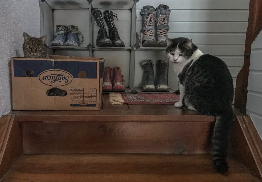 Kein Platz für zwei