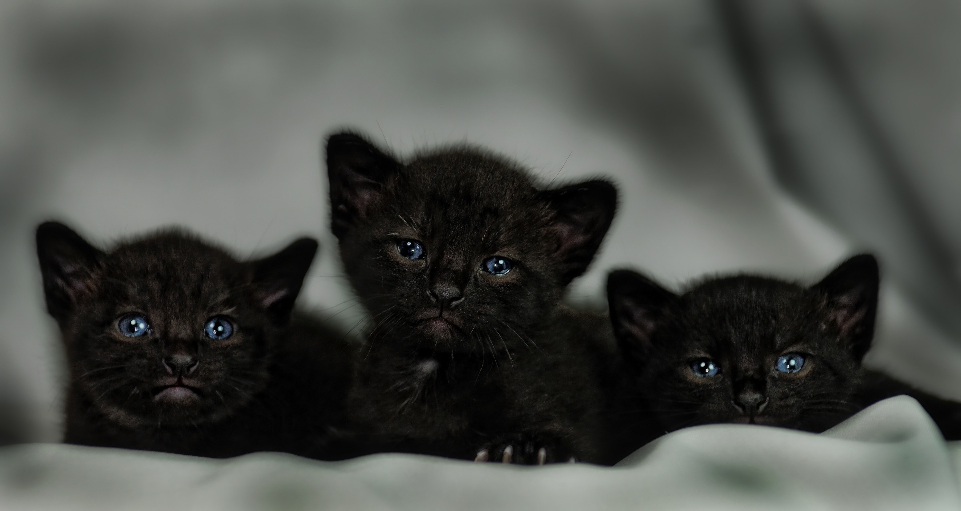 noch nicht ganz wach...