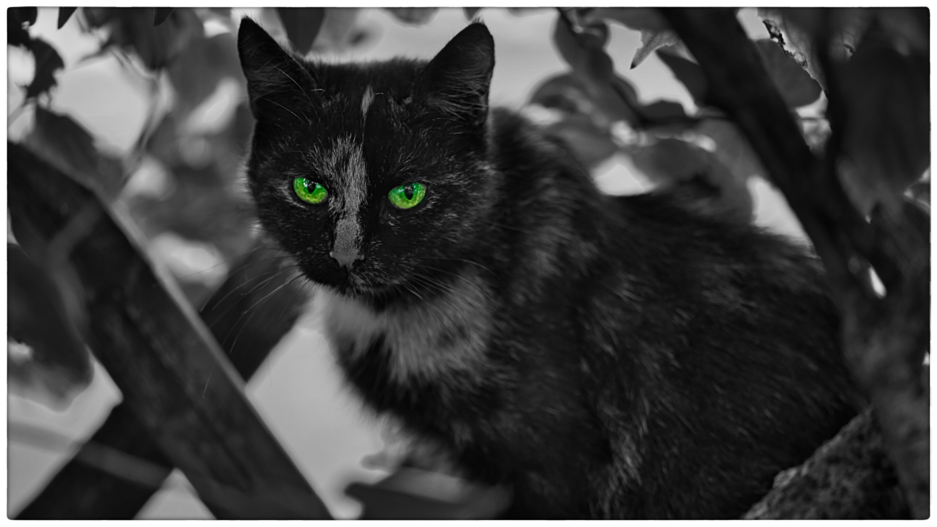 Ein kurzer Augenblick