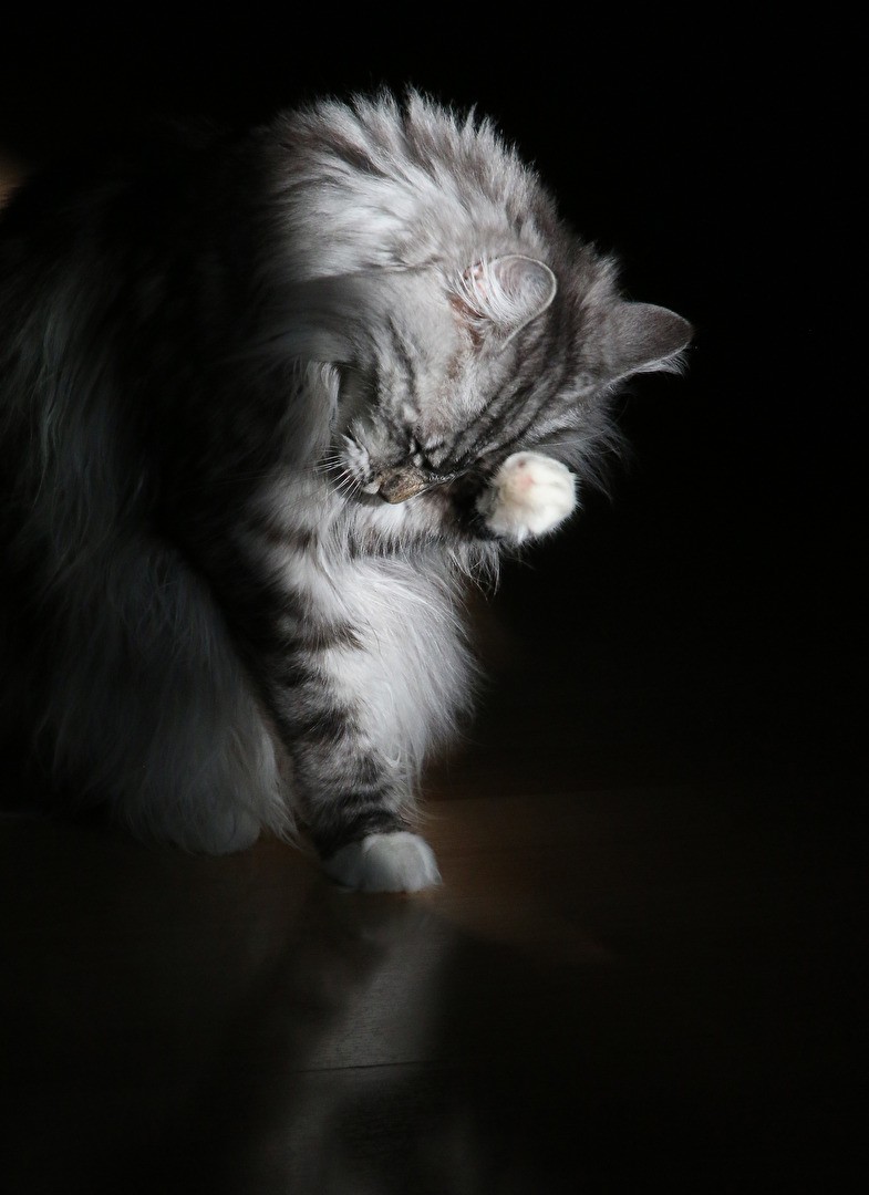 Putzen geht immer :-)