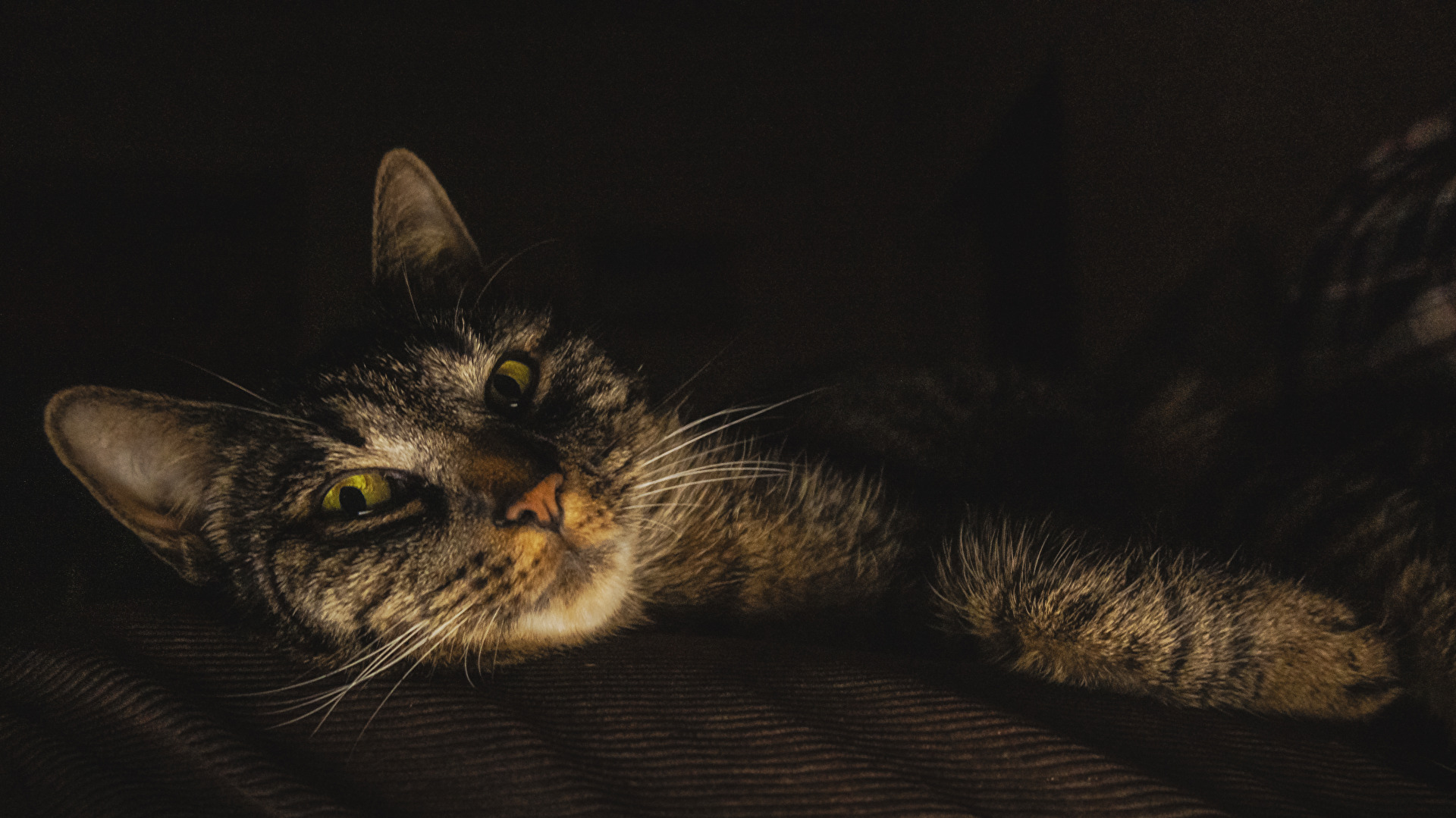 Das war ein Langer Tag