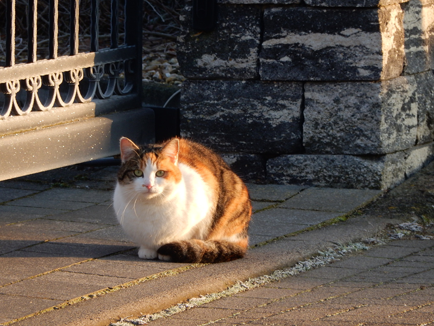bitte um Einlaßauch wenn es nicht mein zu Hause ist