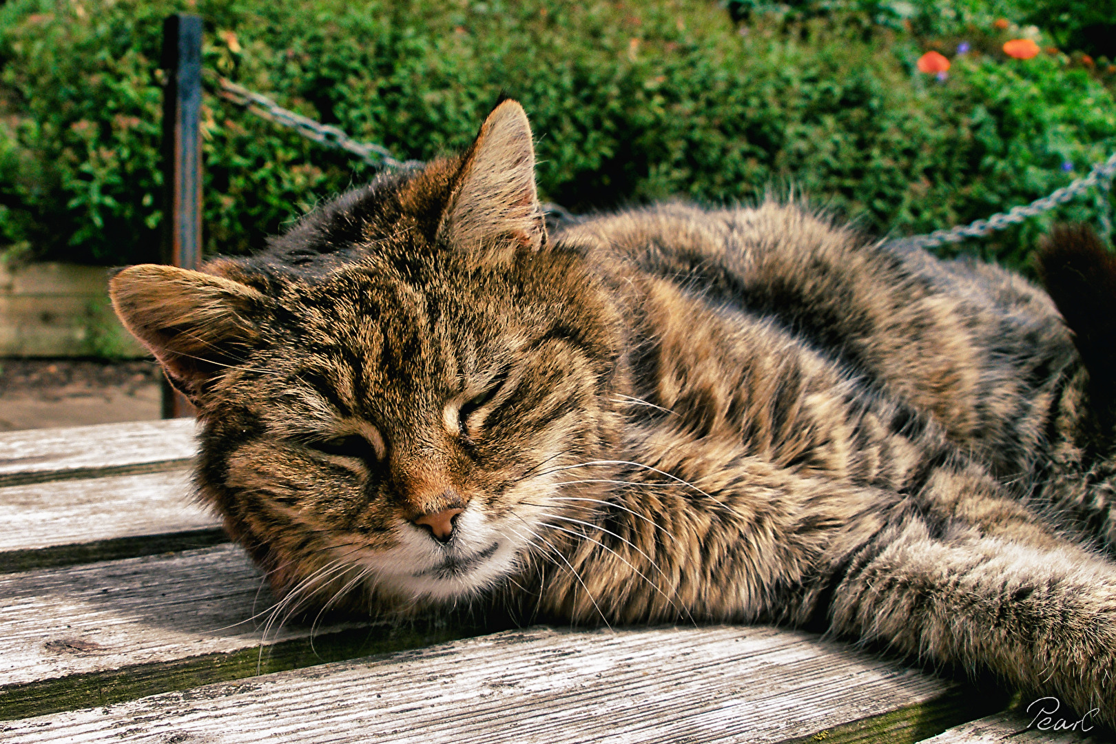 Wärme - Ein warmes Plätzchen