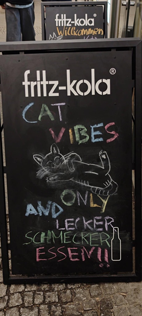 #vibes #cat #lokal #restaurant #panda #werbung