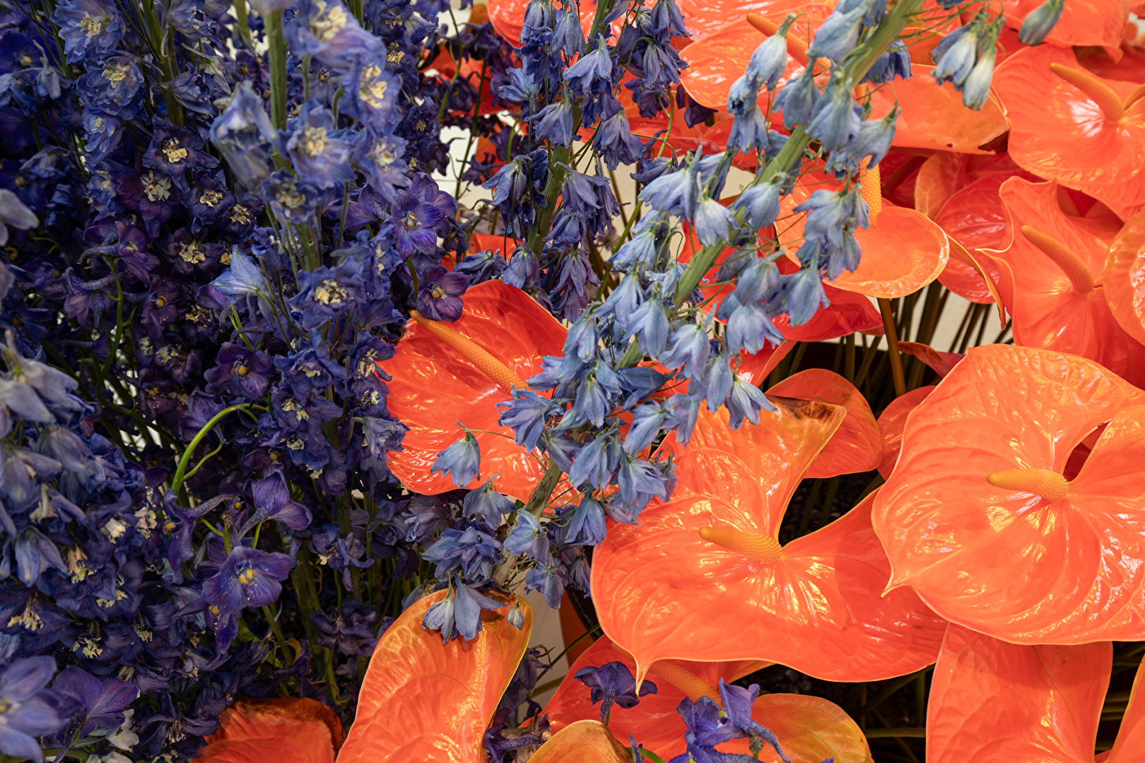 Flower Installation - Part