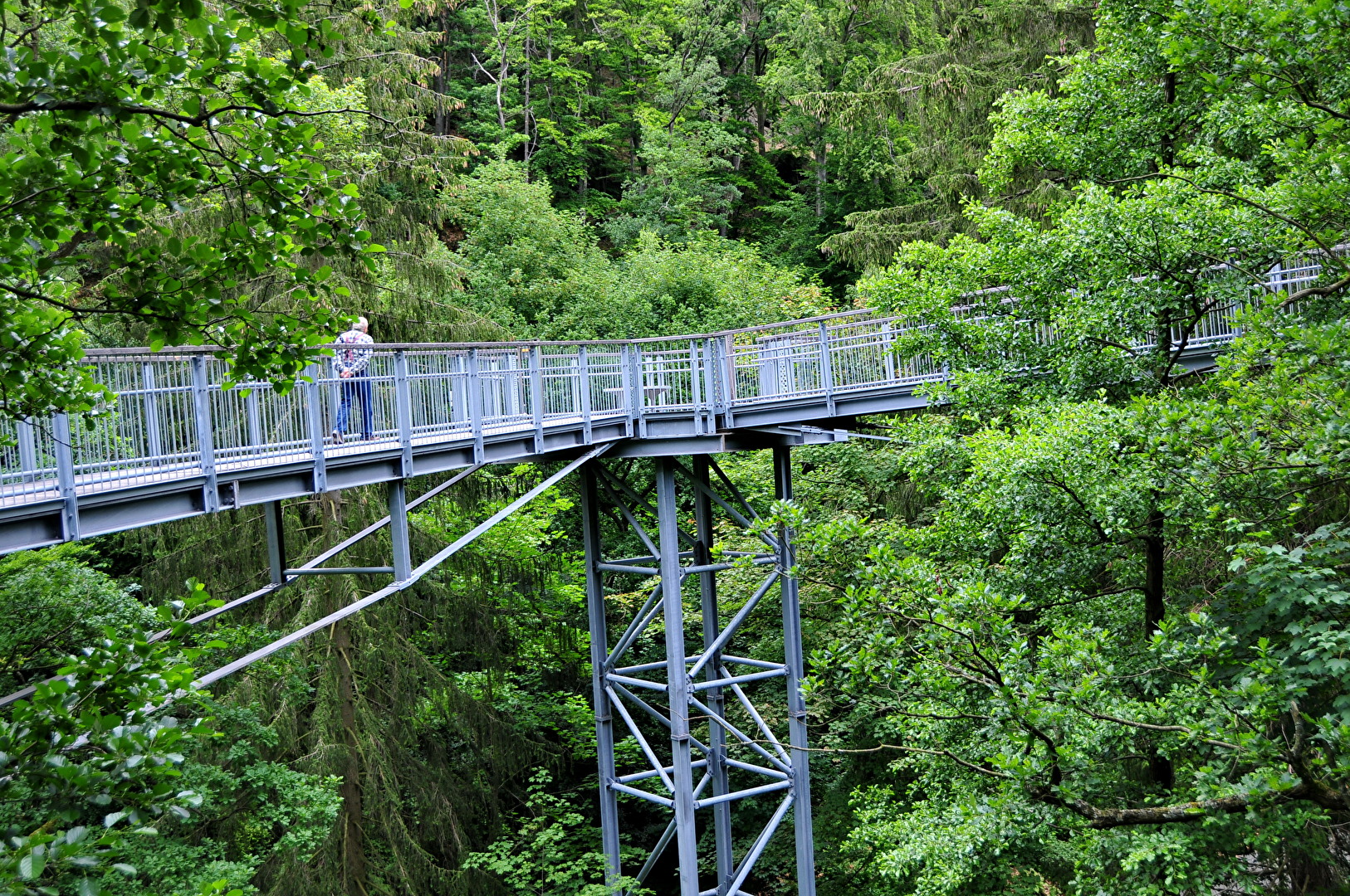 Der Baumwipfelpfad in Bad Harzburg