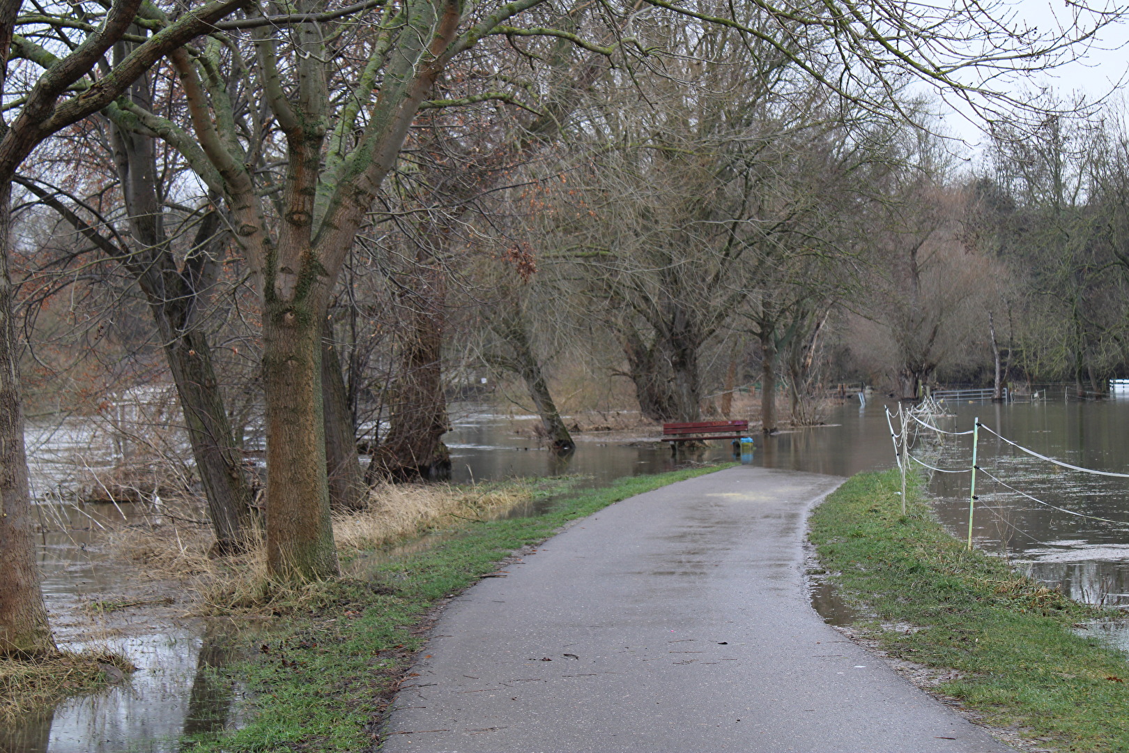 Eine Bank im Hochwasser