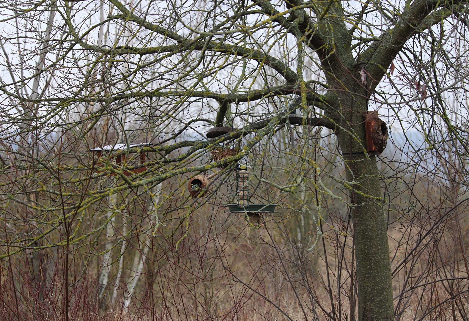 Was vom Naturschutz übrig blieb (3)