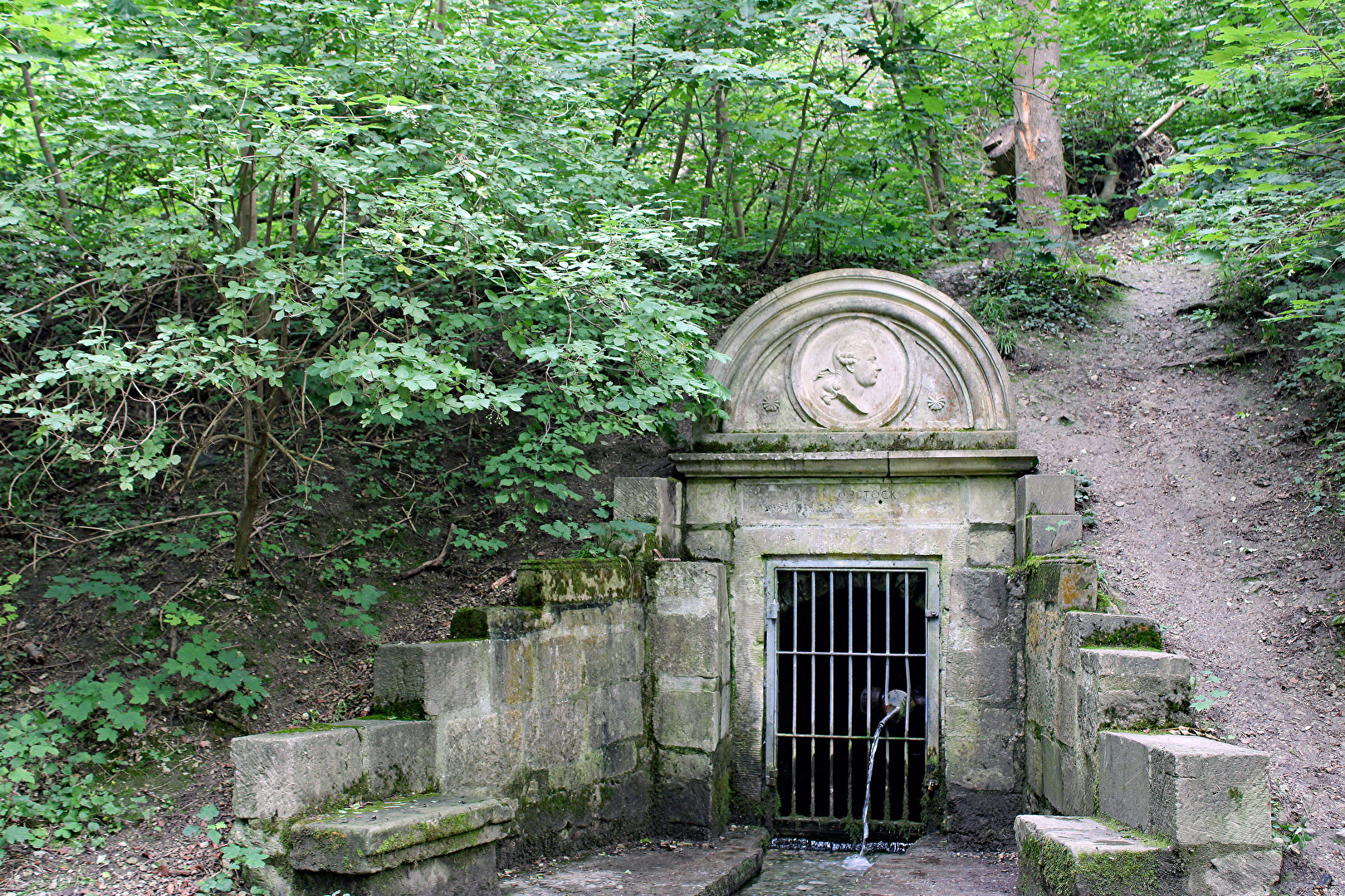 An der kleinen Saale (4)